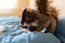 Ein Kuscheltier auf dem Bett